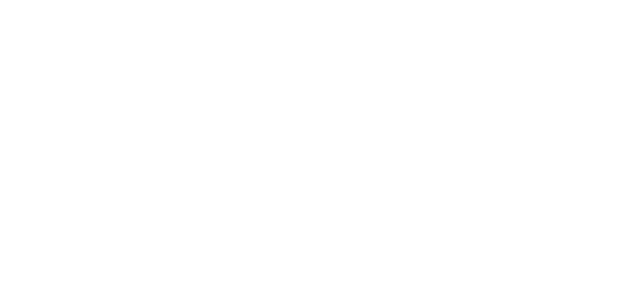 Saint City Rebels