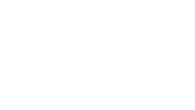 Bruce Electric