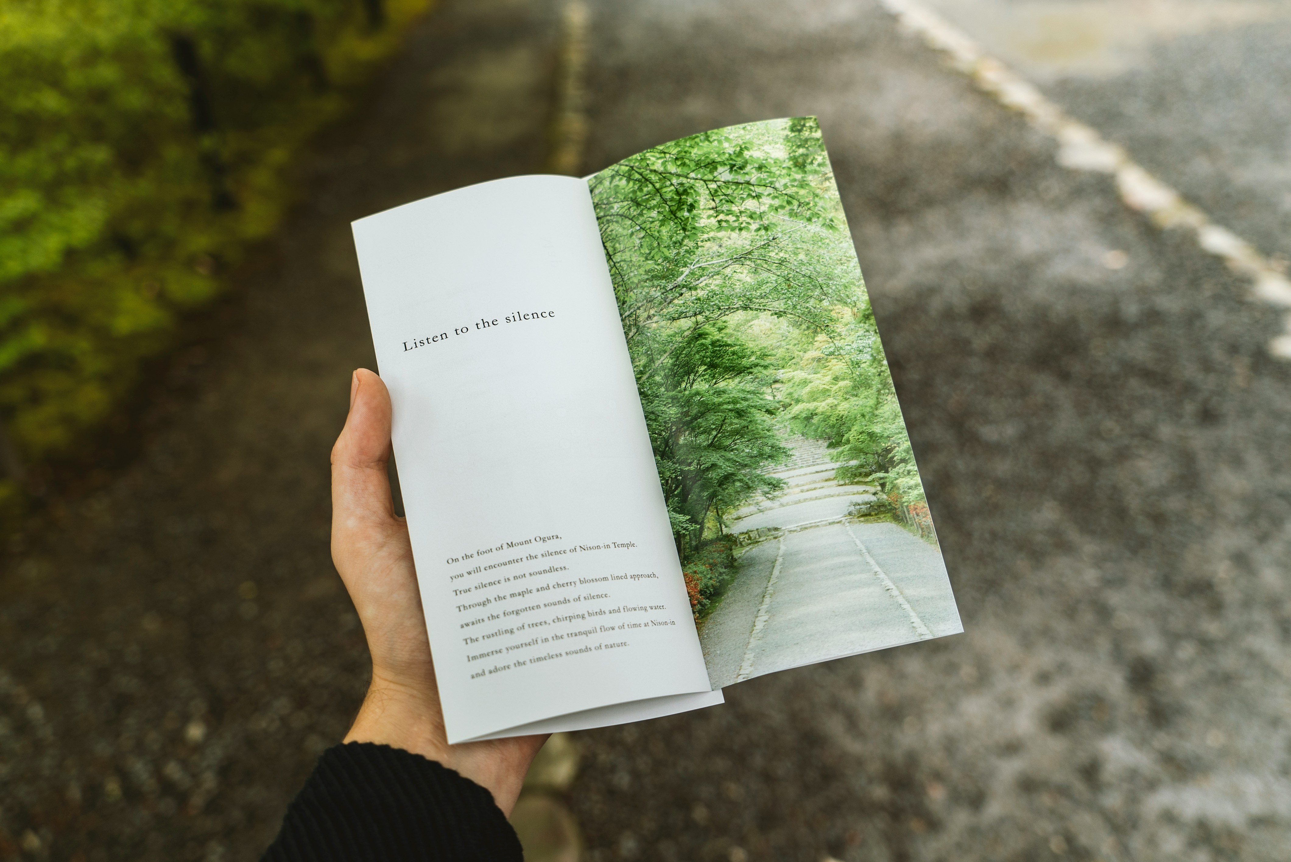 Brochure design company work in Marion, Illinois